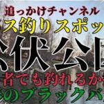 【バス釣り】埼玉のバス釣りスポット！松伏公園で挑戦！初心者でも釣れるのか？追っかけ検証！春バス