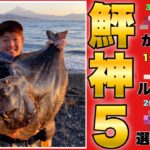 サーフでヒラメが釣れる【おすすめ神ルアー５選】ランキング紹介！初心者にもオススメ！