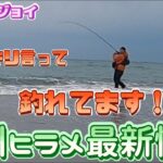 遠州灘ヒラメ最新情報！釣れてます！！[遠州灘サーフ] [遠州ヒラメ] [ヒラメ]