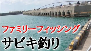 【ファミリーフィッシング】🎣サビキ釣り！誰でも簡単、お手軽、餌いらずで釣れています🐟