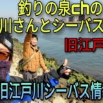 釣りの泉さんとのんびり旧江戸川でシーバス釣り！