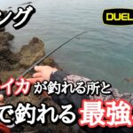 【エギング】マジで釣れる最強のおすすめエギはこれ！こんなポイントはアオリイカが釣れます！