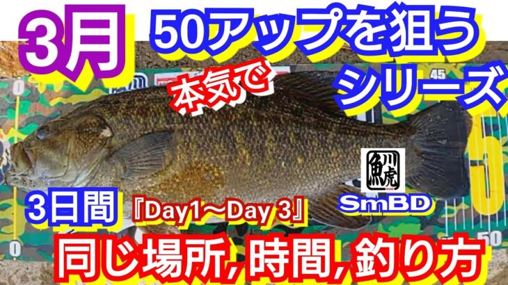 yasu 3月本気50アップ狙うシリーズ【川バス釣り】3日間同じ場所 時間 釣り方/2023年3月/Small mouth bass Fishing