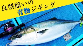 【ジギング】100億年ぶりの青物ジギング