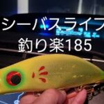 シーバスライブ【釣り楽185】