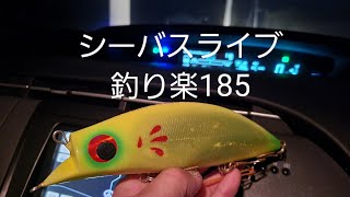 シーバスライブ【釣り楽185】