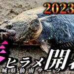 今年のヒラメは早い！？2023サーフフラットフィッシュ開幕‼︎‼︎〜宮城県仙南サーフ〜