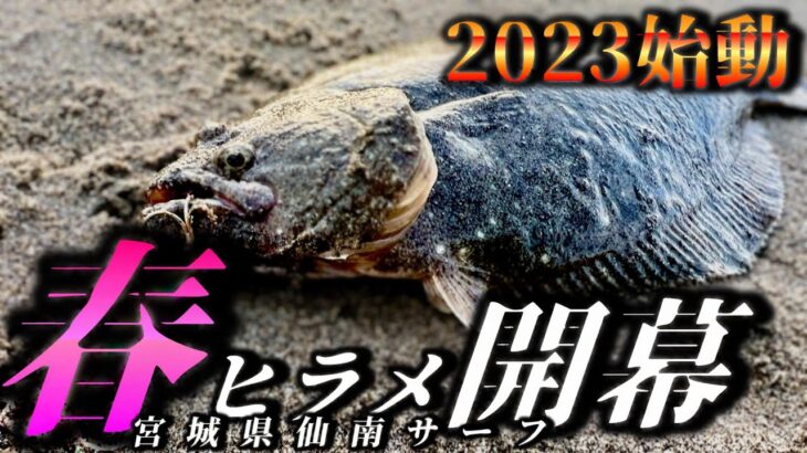 今年のヒラメは早い！？2023サーフフラットフィッシュ開幕‼︎‼︎〜宮城県仙南サーフ〜