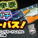 開幕！春暖の海バチシーバス！- 敏腕女性アングラーさんと行く港湾バチ抜け編 – 2023年