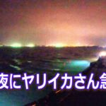 【北海道石狩湾・小樽釣り】嵐の小樽港夜釣りでヤリイカさんの急襲を受け短時間に沢山釣りました!!　2023.4.16