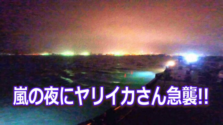 【北海道石狩湾・小樽釣り】嵐の小樽港夜釣りでヤリイカさんの急襲を受け短時間に沢山釣りました!!　2023.4.16