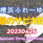 20230426 横浜ふれーゆ GW直前 早朝のサビキ釣り！