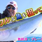 舞鶴沖でブレードジギング　パワフルな魚を狙って釣れ！（四季の釣り/2023年3月24日放送）