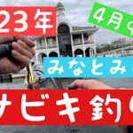 【2023年4月中旬 みなとみらい臨港パークサビキ釣り！】#釣り #みなとみらい #臨港パーク