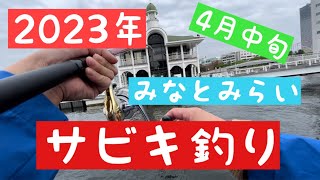 【2023年4月中旬 みなとみらい臨港パークサビキ釣り！】#釣り #みなとみらい #臨港パーク