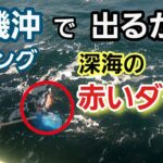 【アカムツ(のどぐろ)】大磯沖でジギングで狙う！ 2023年4月上旬 大磯 邦丸