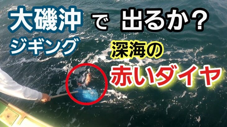 【アカムツ(のどぐろ)】大磯沖でジギングで狙う！ 2023年4月上旬 大磯 邦丸