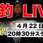 【シーバス爆釣】バイブレーションボトムパターン実釣配信-2023年4月22日