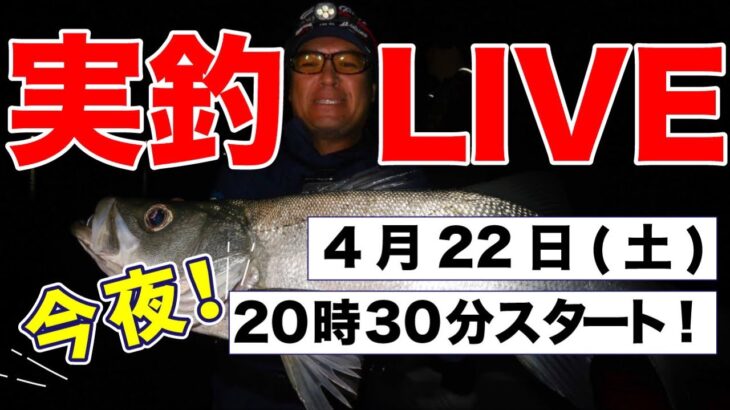 【シーバス爆釣】バイブレーションボトムパターン実釣配信-2023年4月22日