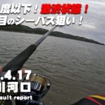 【サーフ・河口第21戦目】 追波川河口で朝マズ目のシーバス狙い！水温10度以下の悪条件で果たしてシーバスは釣れるのか？