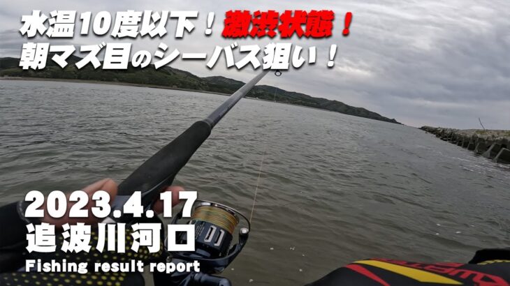 【サーフ・河口第21戦目】 追波川河口で朝マズ目のシーバス狙い！水温10度以下の悪条件で果たしてシーバスは釣れるのか？