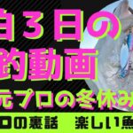 2泊3日で15匹【ルアーシーバス】三重県南部　リバーシーバス　サーフ　デイゲーム　熊野　七里御浜　メタルシャルダス　ブローウィン　ブルーブルー　裂波　アイマ