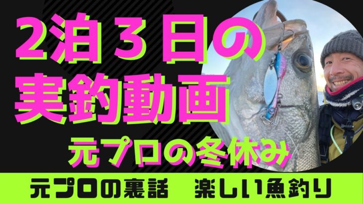 2泊3日で15匹【ルアーシーバス】三重県南部　リバーシーバス　サーフ　デイゲーム　熊野　七里御浜　メタルシャルダス　ブローウィン　ブルーブルー　裂波　アイマ