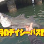 3月のデイシーバス釣り