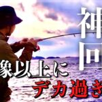 【神回】堤防から釣り人生35年の最大魚を釣り上げた‼