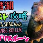 琵琶湖南湖プリスポーンバスをサカマタミドストで攻略！春のデカバスをデプスサカマタシャッド4インチにカルティバのレンジローラーで簡単にロールアクション！ヌートリアも出現！？【琵琶湖バス釣り】