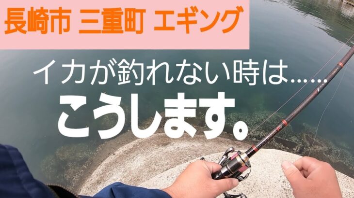 4月12日。エギングでイカが釣れない時は、こうします！  長崎市 三重町 氷屋の裏の小さな防波堤