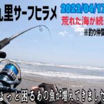 4月17日、あの魚が増えてきた！【九十九里サーフヒラメ】