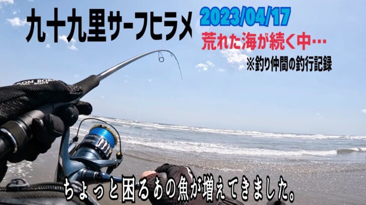 4月17日、あの魚が増えてきた！【九十九里サーフヒラメ】