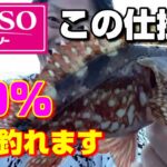 ダイソー釣り具で最強に釣れる仕掛け教えます【釣り初心者必見】エギングタックルを使ったボウズ逃れ釣法【64釣目】