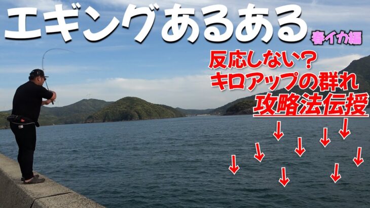 反応しないキロアップの群れを釣る春イカ攻略法伝授！絶対に共感する春エギングあるある7選