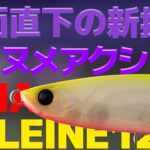 ミノーでもシンペンでもないフローティングペンシル『BALEINE125F』をご紹介