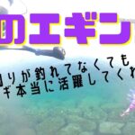 【春のエギング】周りが釣れなくても短時間で活躍してくれるエギ！　　春のアオリイカを求めて〜DAY５ 〜