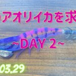 【エギング】春のアオリイカを求めて〜DAY２〜　初めて使ったエギがめっちゃ使える！！！