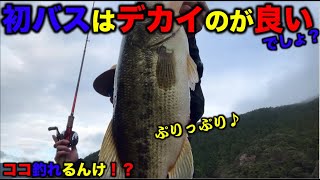 【バス釣り】デカバスがなぜか釣れるルアー！？プリプリの最高の初バスGET！！