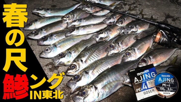 【アジング】春のデカアジ祭！深夜静かに盛り上がる「実釣 GOSEN ANSWER AJING PE×4」