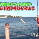 【初心者向け】GWはサビキ釣りに行ってみよう！小名浜港でサビキ釣り絶好調！