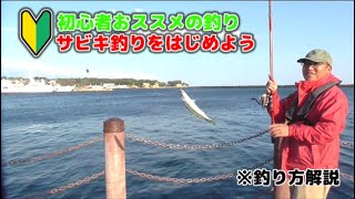 【初心者向け】GWはサビキ釣りに行ってみよう！小名浜港でサビキ釣り絶好調！