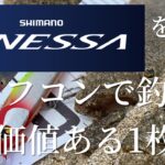 茨城サーフ開幕 春シーズンのヒラメ 〜NESSAを駆使してタフコンで釣る価値ある1枚〜