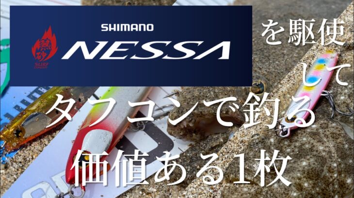 茨城サーフ開幕 春シーズンのヒラメ 〜NESSAを駆使してタフコンで釣る価値ある1枚〜