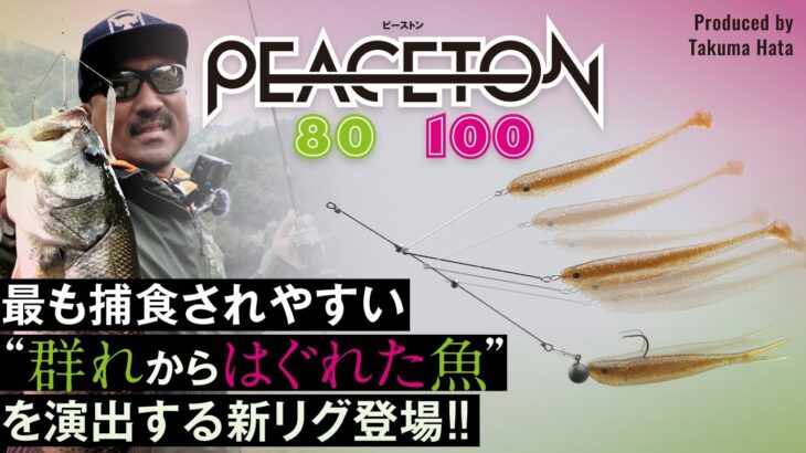 【バス釣り】最も捕食されやすい”群れからはぐれた魚”を演出!!PEACETON 80・100 / ピーストン80・100/秦拓馬/ダウザー/四国リザーバー