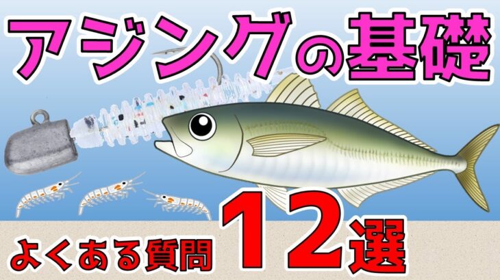 【アジングの基礎Q&A12選】これから始められる方に見て欲しい