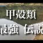 【甲殻類・最強伝説】めちゃくちゃ簡単にデカバスが連発して釣れる釣りがあった。ぜひ今の季節に、一度真似してみてほしい釣り。 RAIDJAPAN レイドジャパン　エグチャンク　ベイトタックル　『バス釣り』