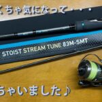 【エギング】エメラルダス　ストイストST　８３MーSMT　買うつもりはなかったんだが・・・