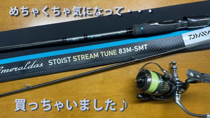 【エギング】エメラルダス　ストイストST　８３MーSMT　買うつもりはなかったんだが・・・