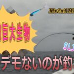 【バケモノ級登場】ついにでたトンデモ獲物！メタルマジックTGでSLJ。